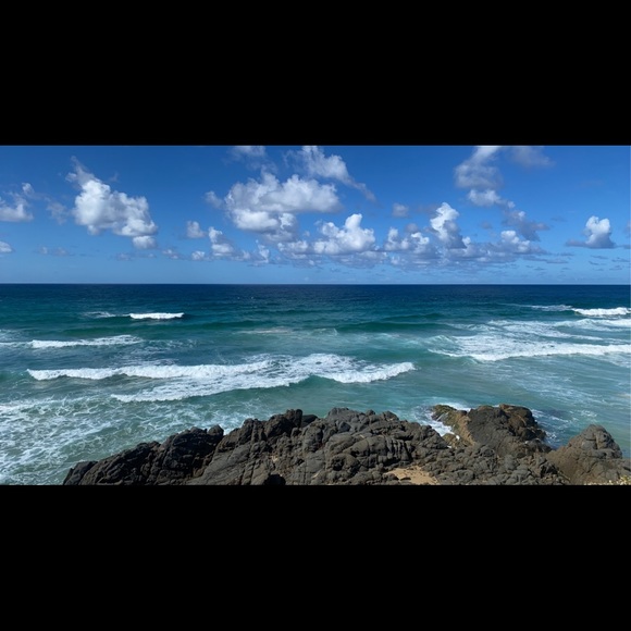 Meet your Posher, Kaylani - Picture 1 of 1